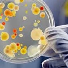 Microbiologische inspectie | AQ Group